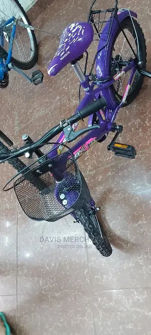 Girl's Bike Size 16 Purple Colour