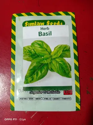 Basil Seeds