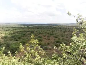 Scenic 15 Acres Nkorika