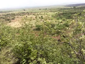 Scenic 15 Acres Nkorika