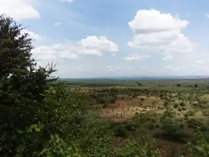 Scenic 15 Acres Nkorika
