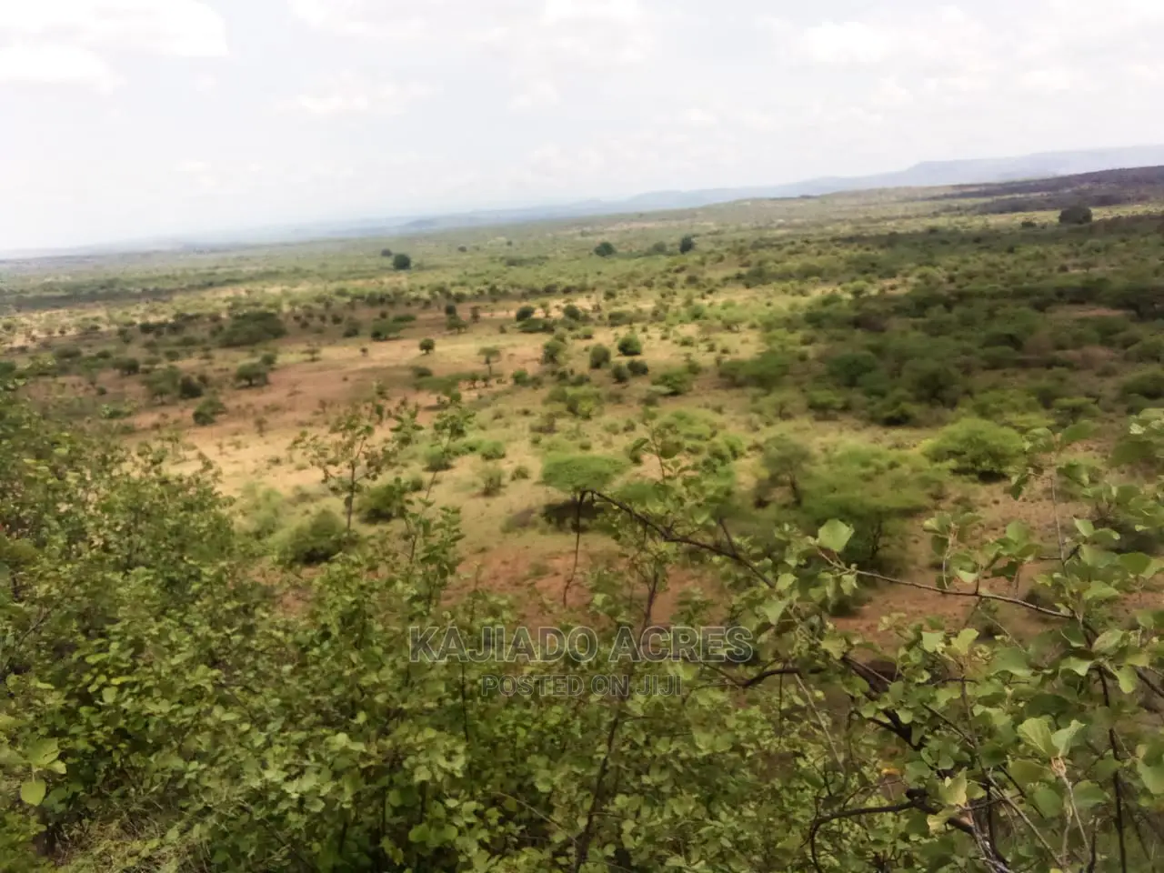 Scenic 15 Acres Nkorika