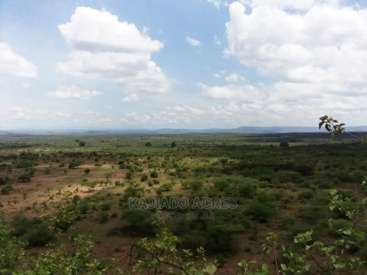 Scenic 15 Acres Nkorika