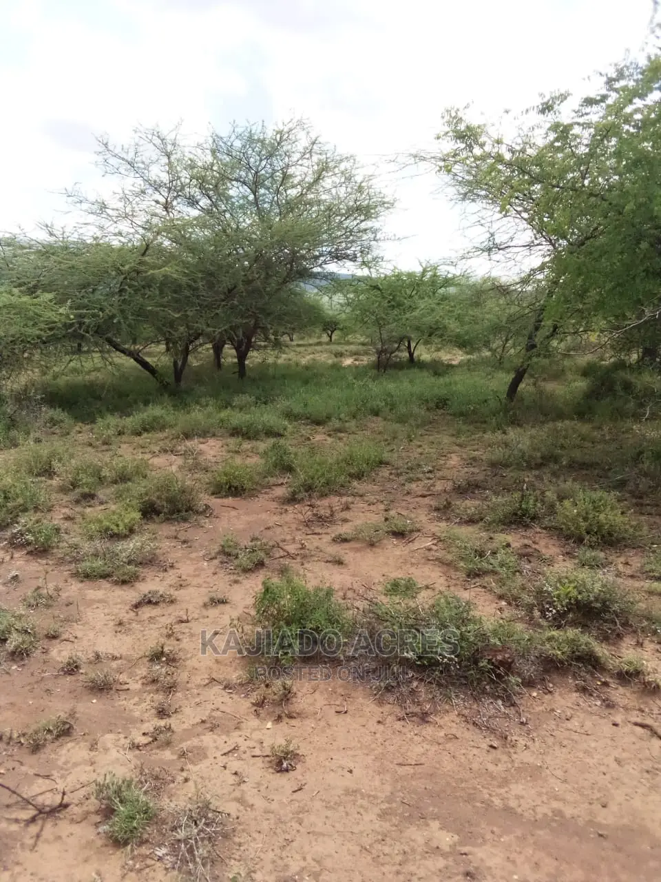 20 Acre Nguyan