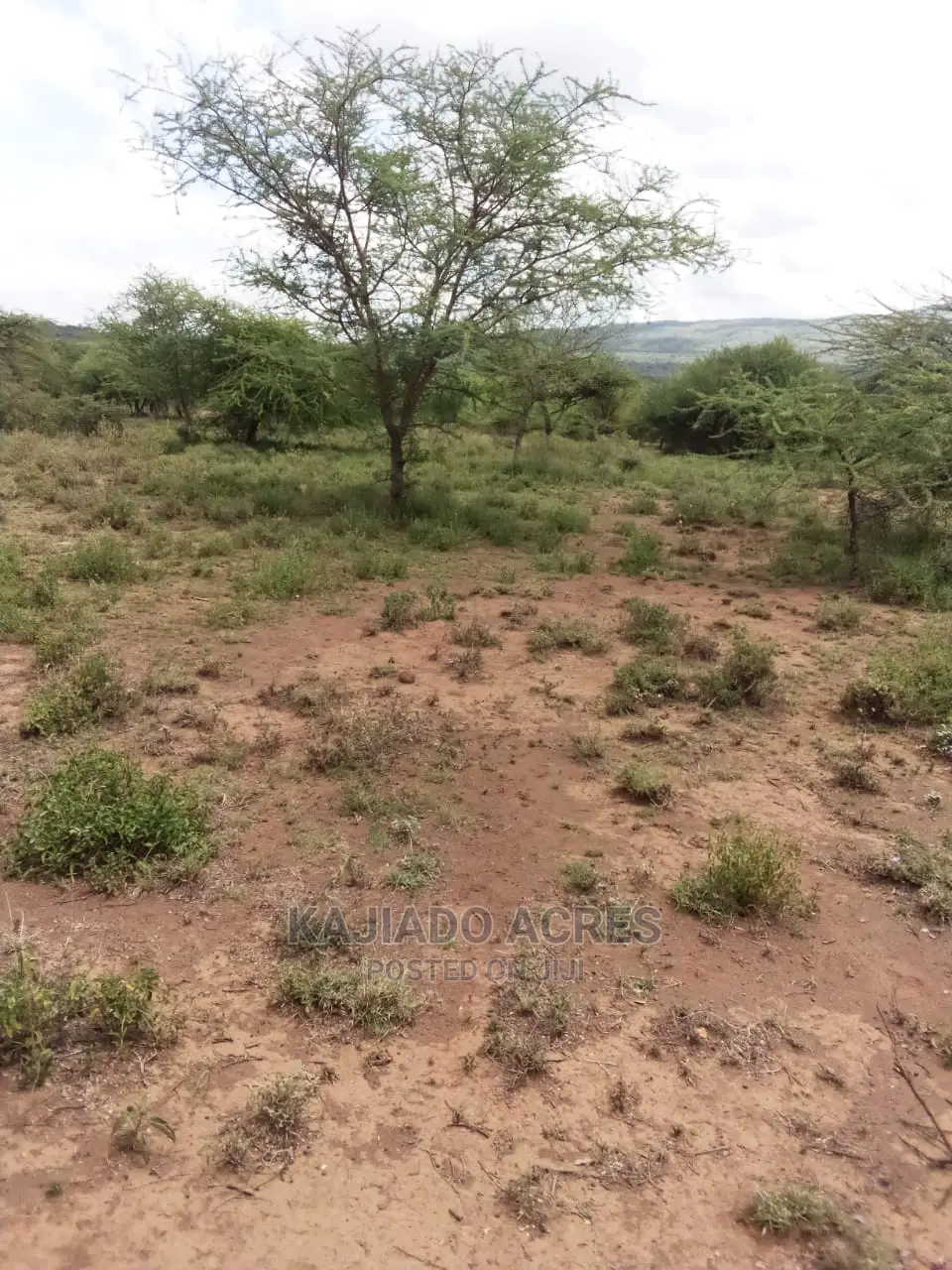 20 Acre Nguyan