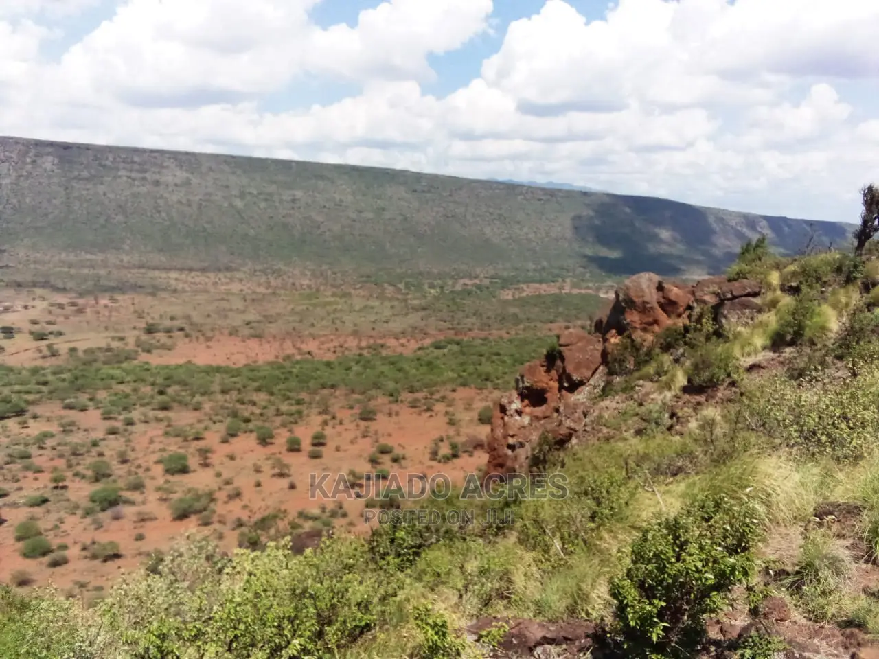 Scenic 113 Acres Olmeroi(Saikeri)