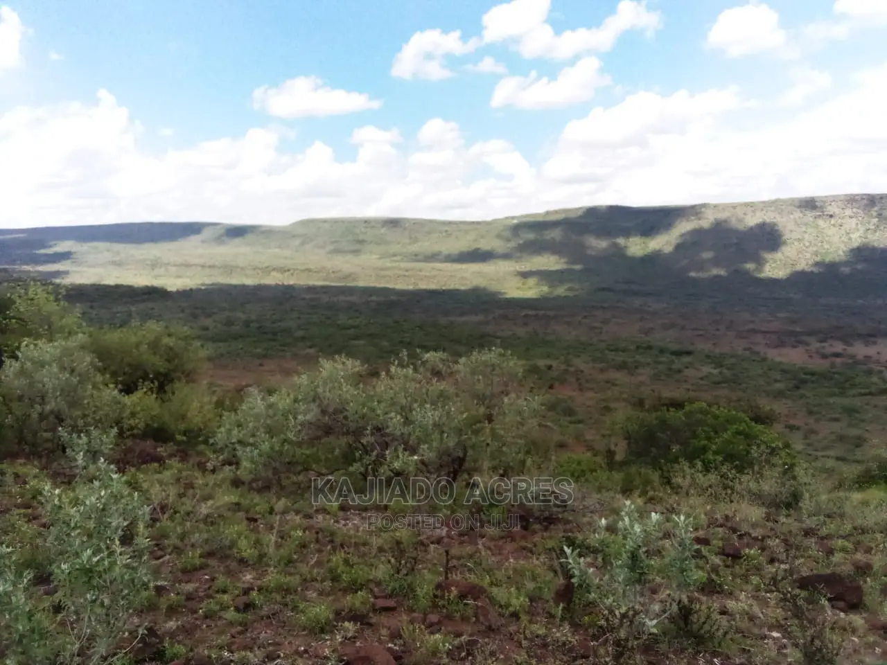Scenic 113 Acres Olmeroi(Saikeri)
