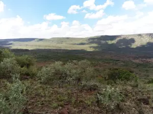 Scenic 113 Acres Olmeroi(Saikeri)