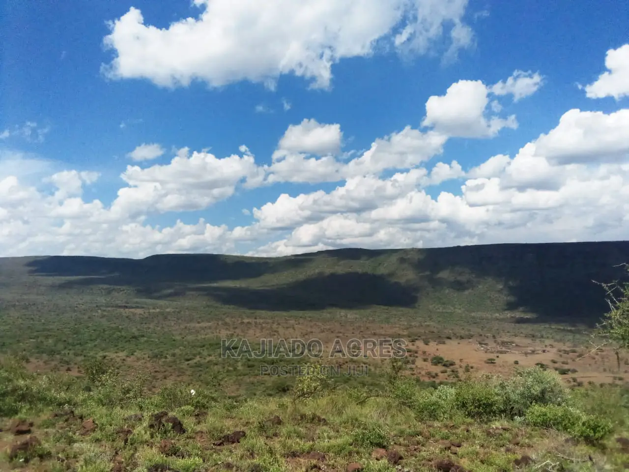 Scenic 113 Acres Olmeroi(Saikeri)
