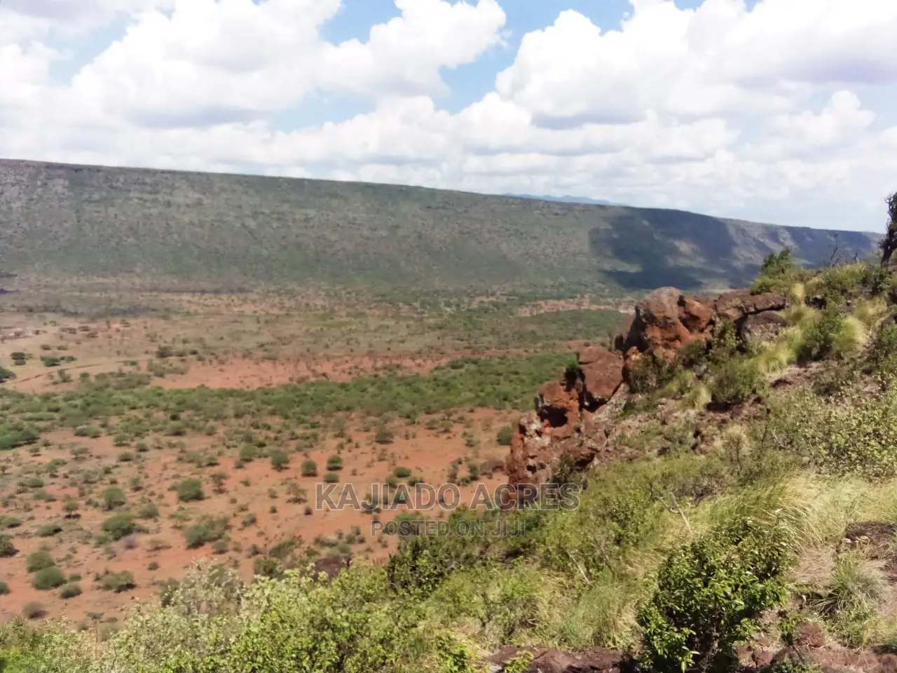 Scenic 113 Acres Olmeroi(Saikeri)