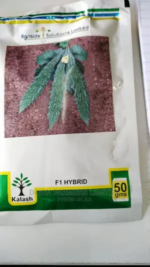 Karela F1 Seeds