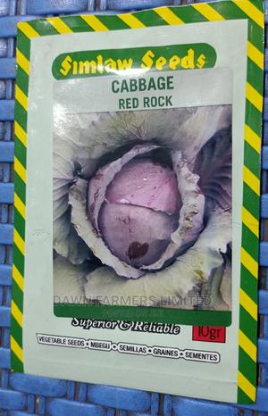 Red Cabbage - main view