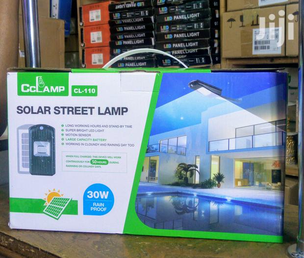30w Solar Street Light - main view