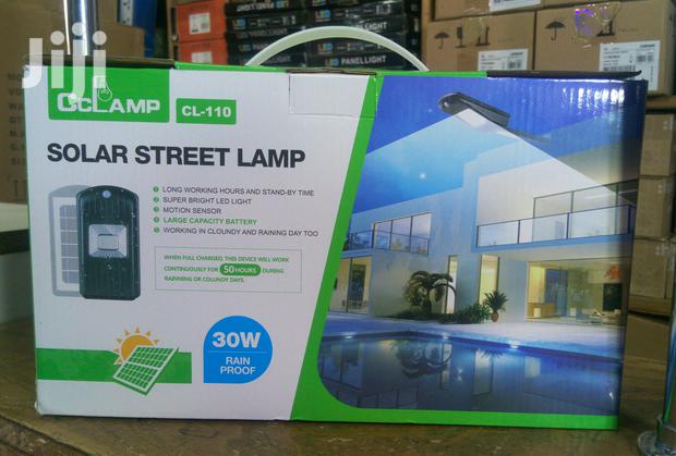 30w Solar Street Light - thumbnail 4