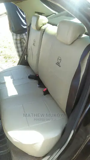 Dantex Car Seat Covers