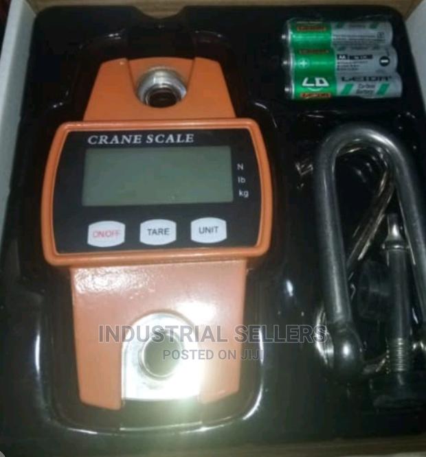 Advanced 300kgs Hook Scale - main view