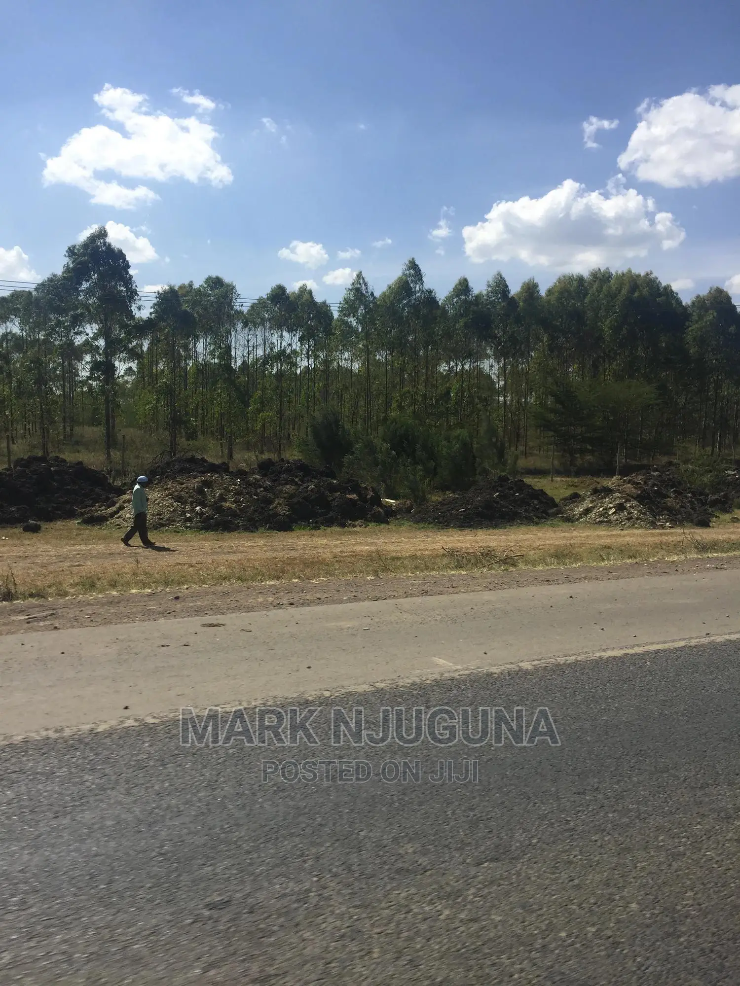 50*100 Vacant Plot in Rimpa , Nalepo