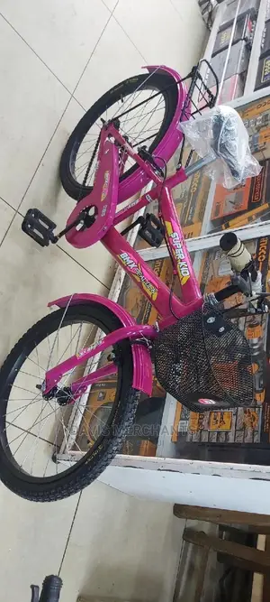 Size 20 Girl's Bike