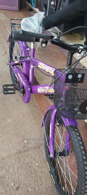 Size 20 Girl's Bike Made In India