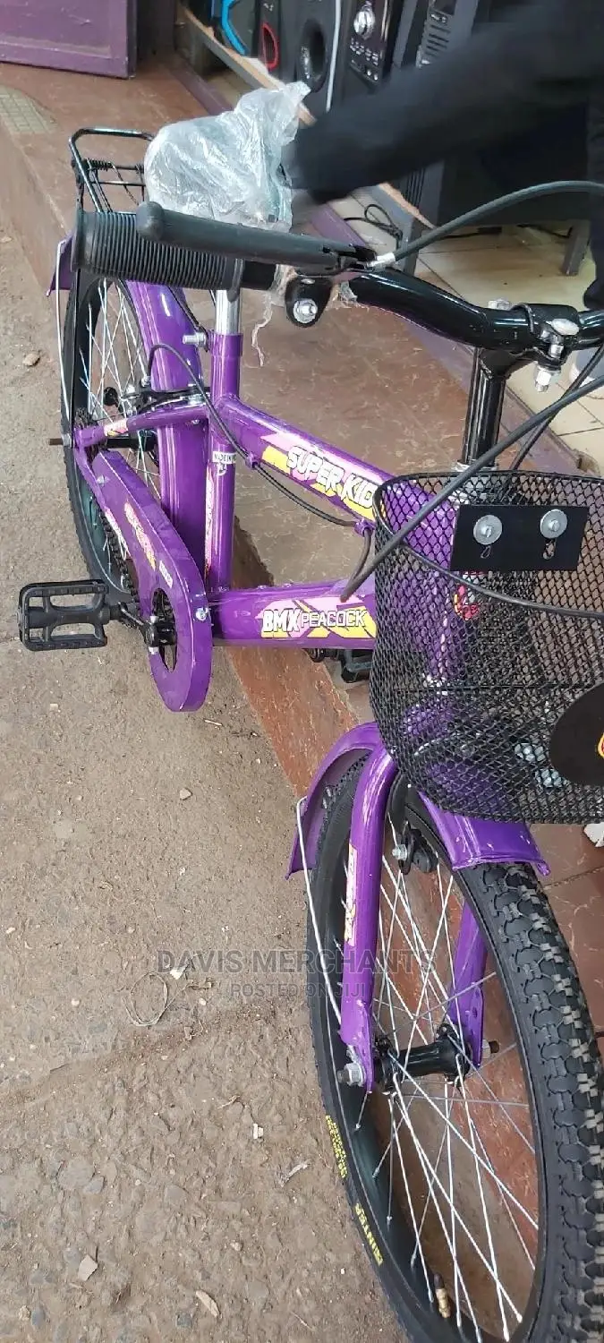 Size 20 Girl's Bike Made In India