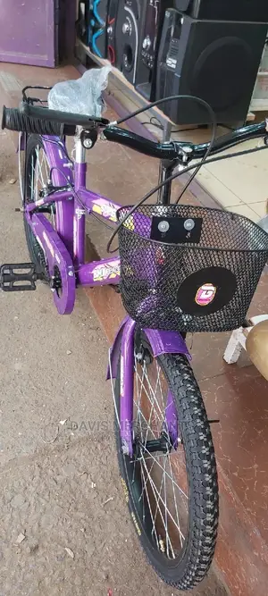 Size 20 Girl's Bike Made In India