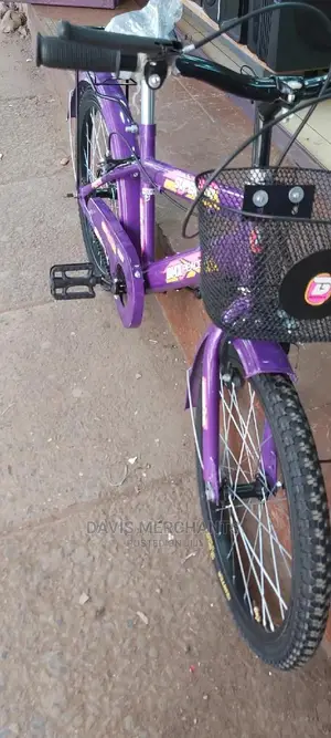 Size 20 Girl's Bike Made In India
