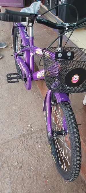 Size 20 Girl's Bike Made In India
