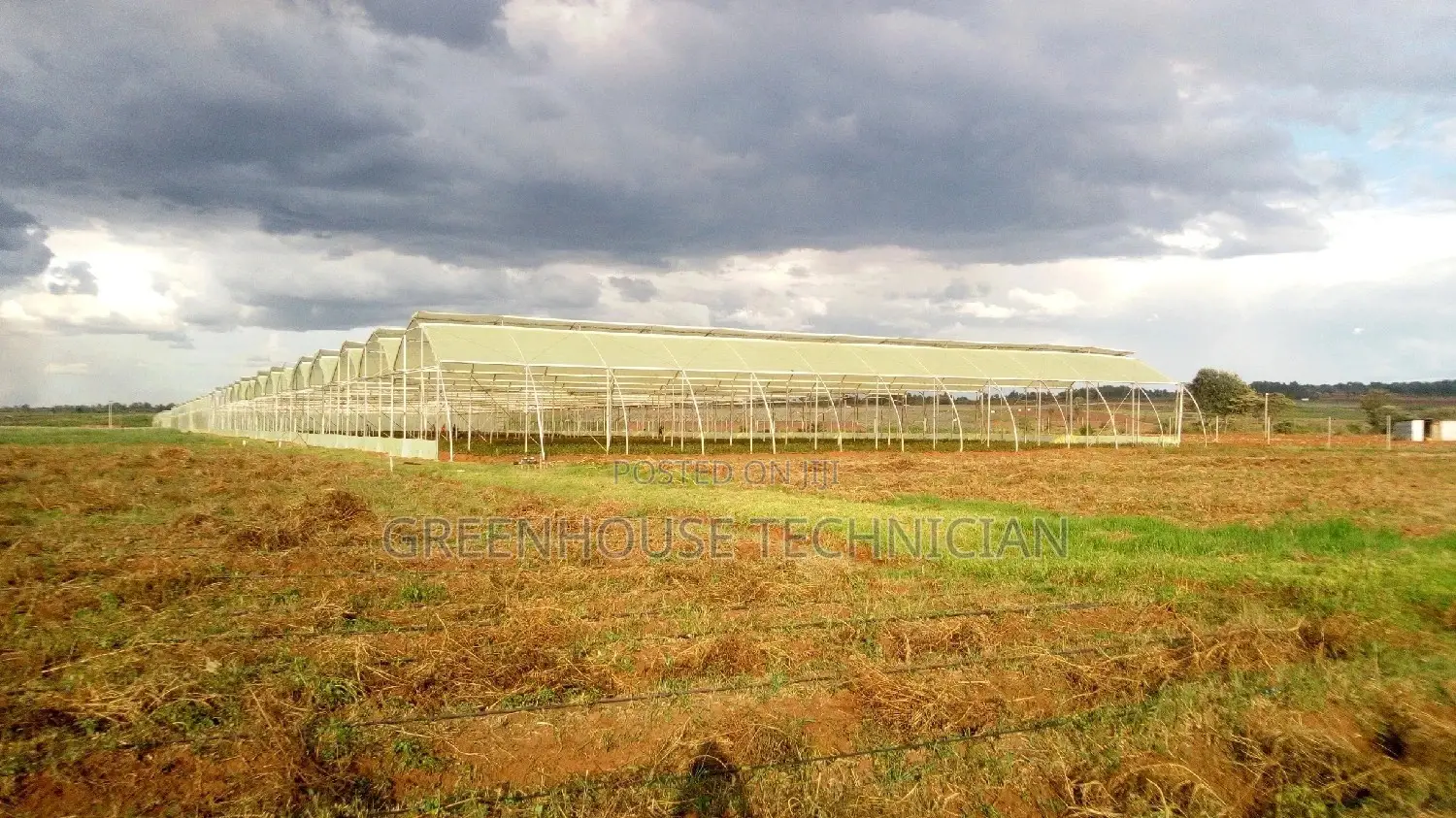 Greenhouses Technician,