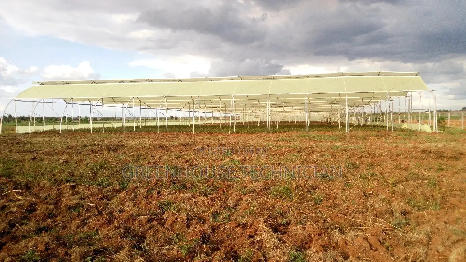 Greenhouses Technician,