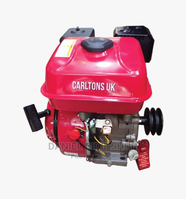 Carltons Petrol Agricultural Engine 7.5hp - main view