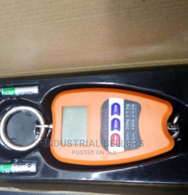 Spring Scale 200kgs - main view