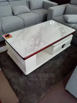 Pure Marble Coffee Table