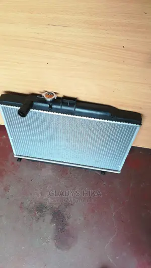 Brand New Radiator for Nissan Caravan on Sale