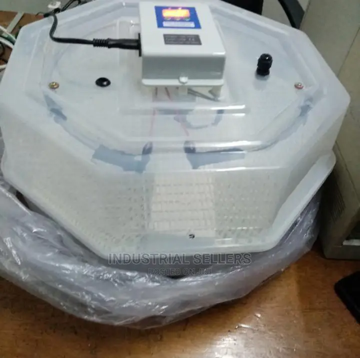 Best Price 60 Egg Incubator