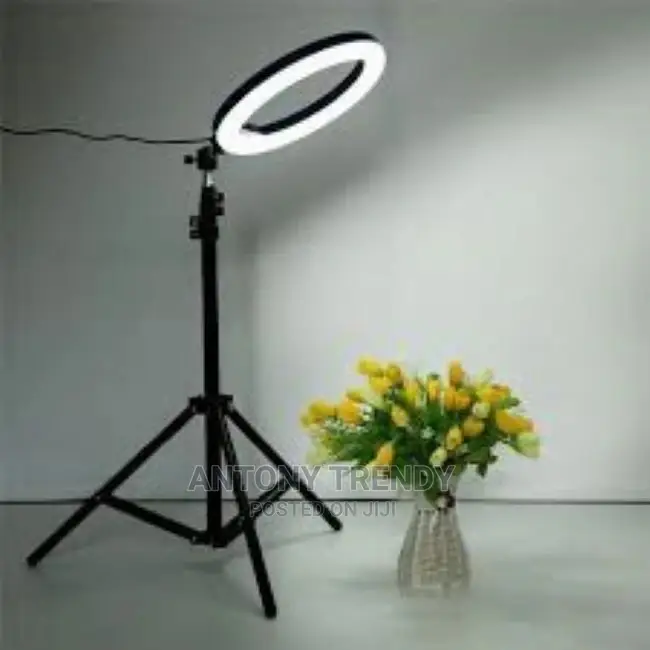 10 Inch Ring Light With Tripod Stand and Phone Holder