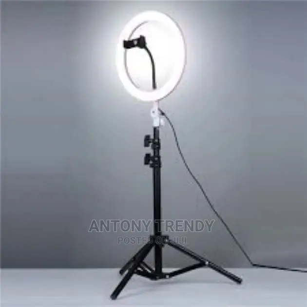 10 Inch Ring Light With Tripod Stand and Phone Holder