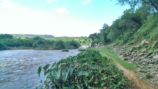 17 Acres of Land for Sale