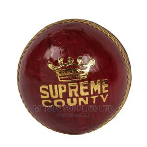 Cricket Ball Leather for Practice - thumbnail 2