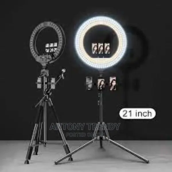 21 Inches Photographic Lighting 2700-6500k LED Ring Lamp Wit