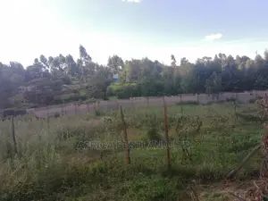 50x100 Ft Plot for Sale in Kabete Kiambu County