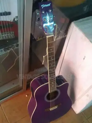 Semi Acoustic USA