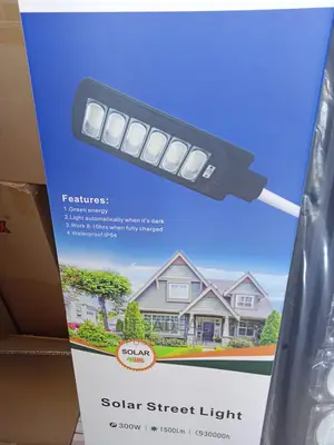 Solar Street Light.