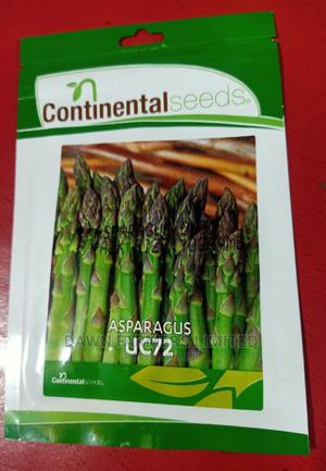 Asparagus Uc72 - main view