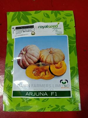 Arjuna F1 Hybrid - main view