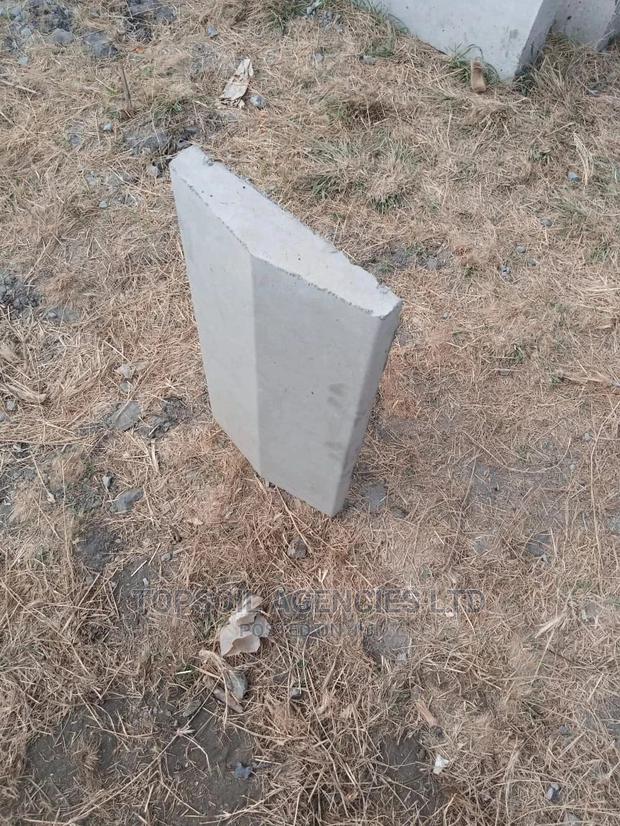 Wall Coping - thumbnail 2