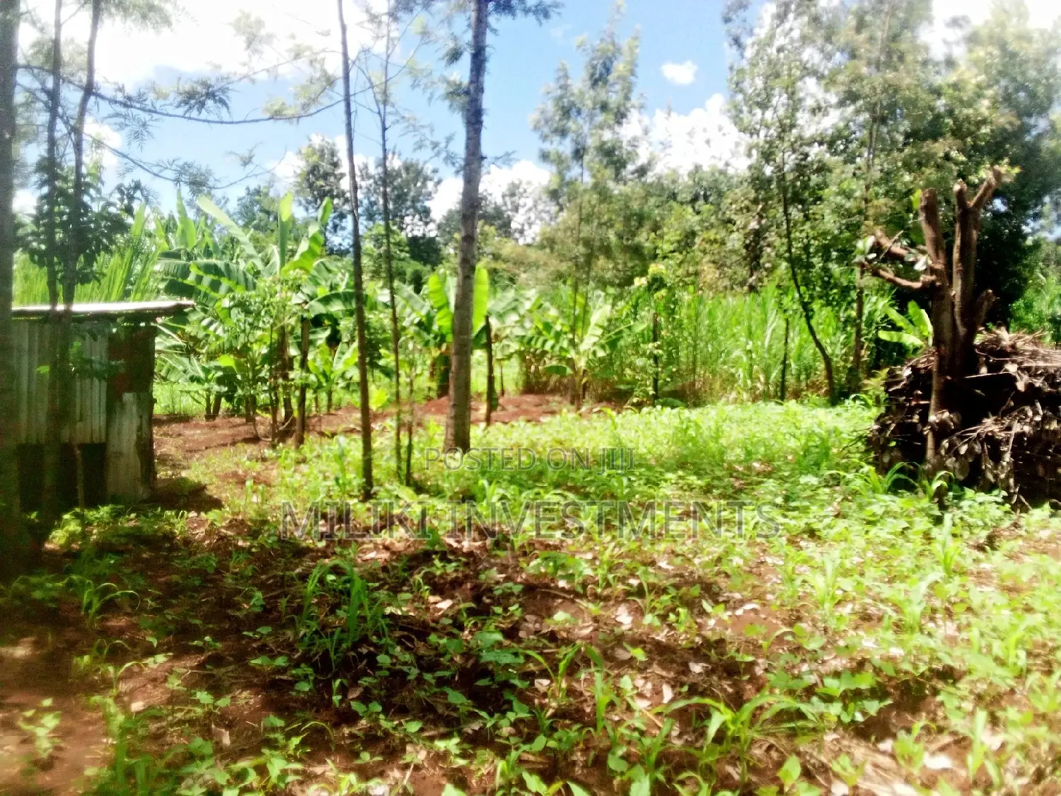 1 and Half Acres on Sale at Kamahuha