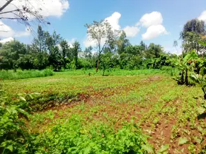 1 and Half Acres on Sale at Kamahuha