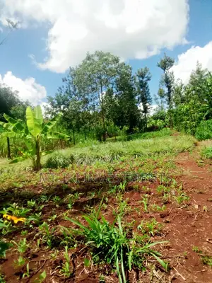 1 and Half Acres on Sale at Kamahuha