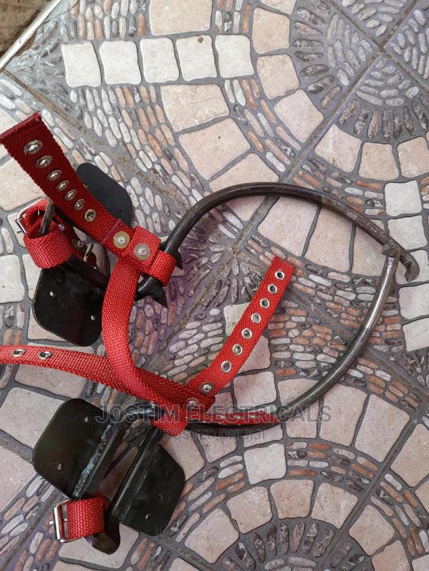 Wooden Climbers - thumbnail 3