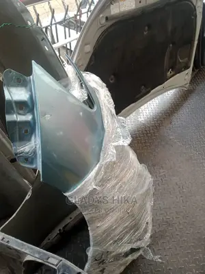 Ex Japan Wing/Fender for Wish2010 on Sale